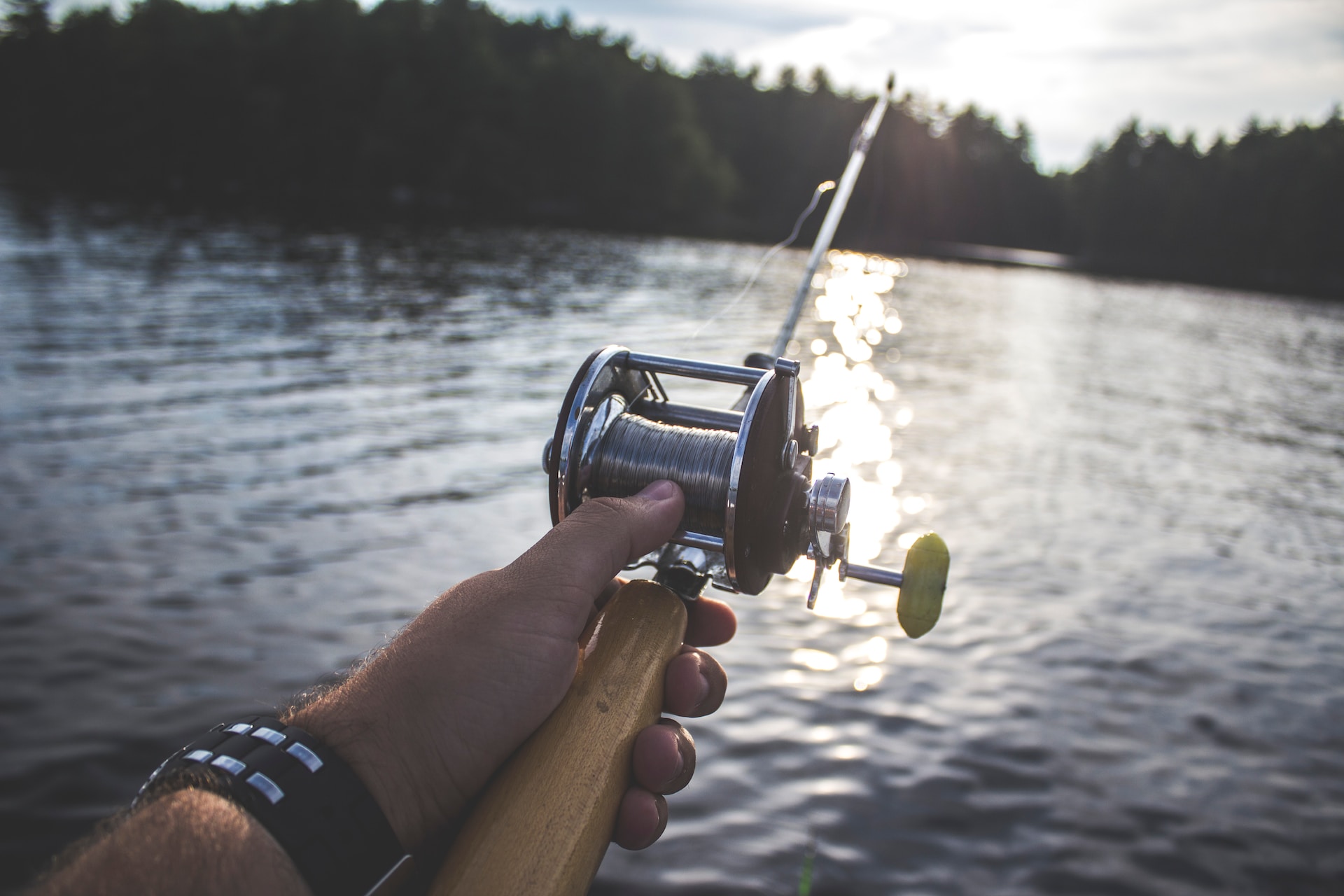 Pesca Pesca